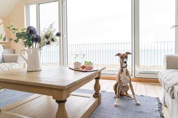 Mariners is a dog friendly property so why not bring your four legged friend along!