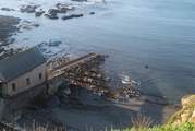 The dramatic Lizard Point is just up the road.