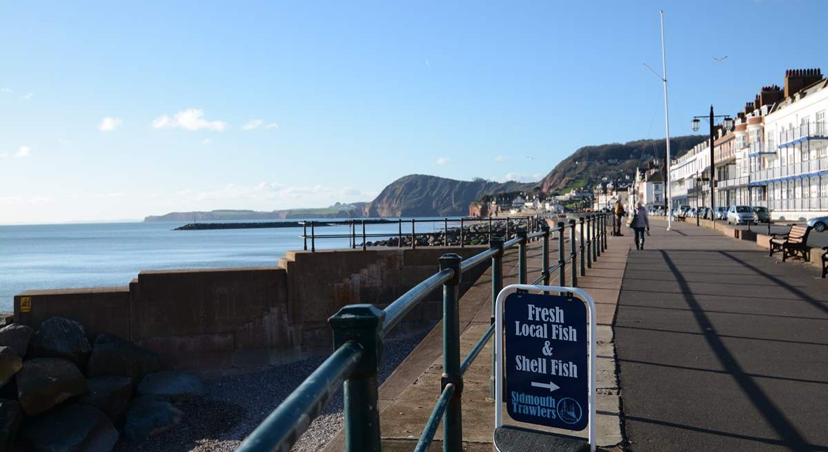 Sidmouth has lots of restaurants, pubs and a wonderful ice cream parlour.