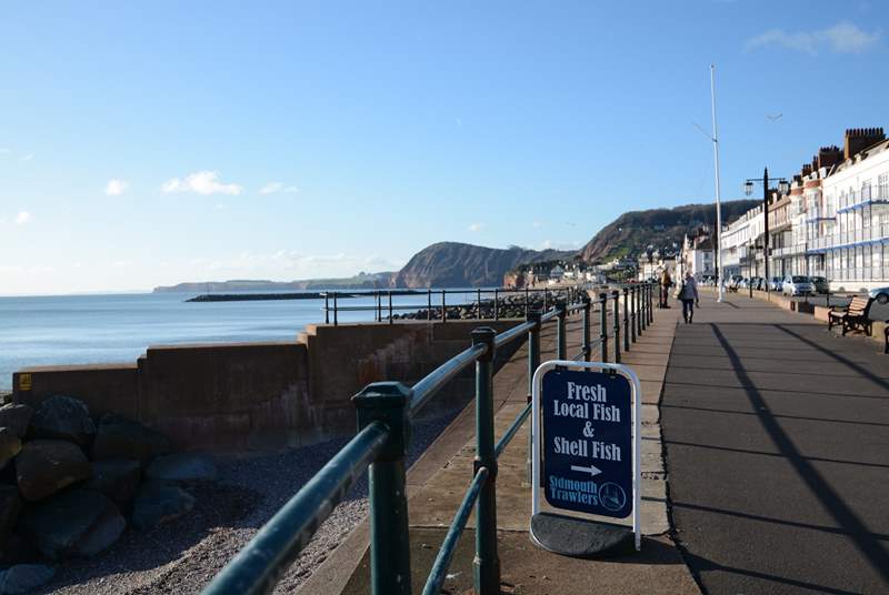 Sidmouth has lots of restaurants, pubs and a wonderful ice cream parlour.