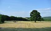 The rolling countryside views are fabulous. - Thumbnail Image