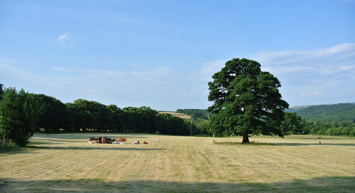 The rolling countryside views are fabulous.