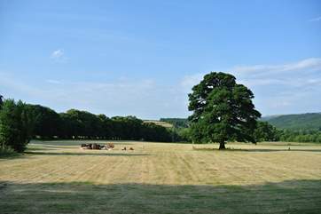 The rolling countryside views are fabulous.
