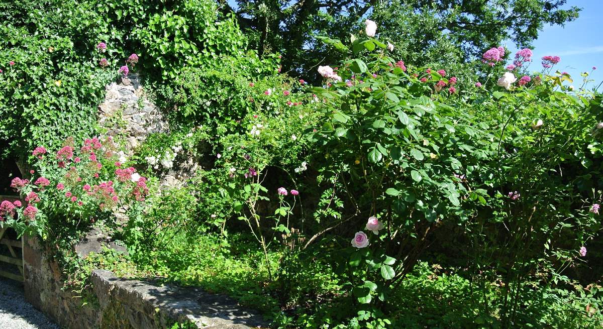 The gardens are full of wall to wall colour.