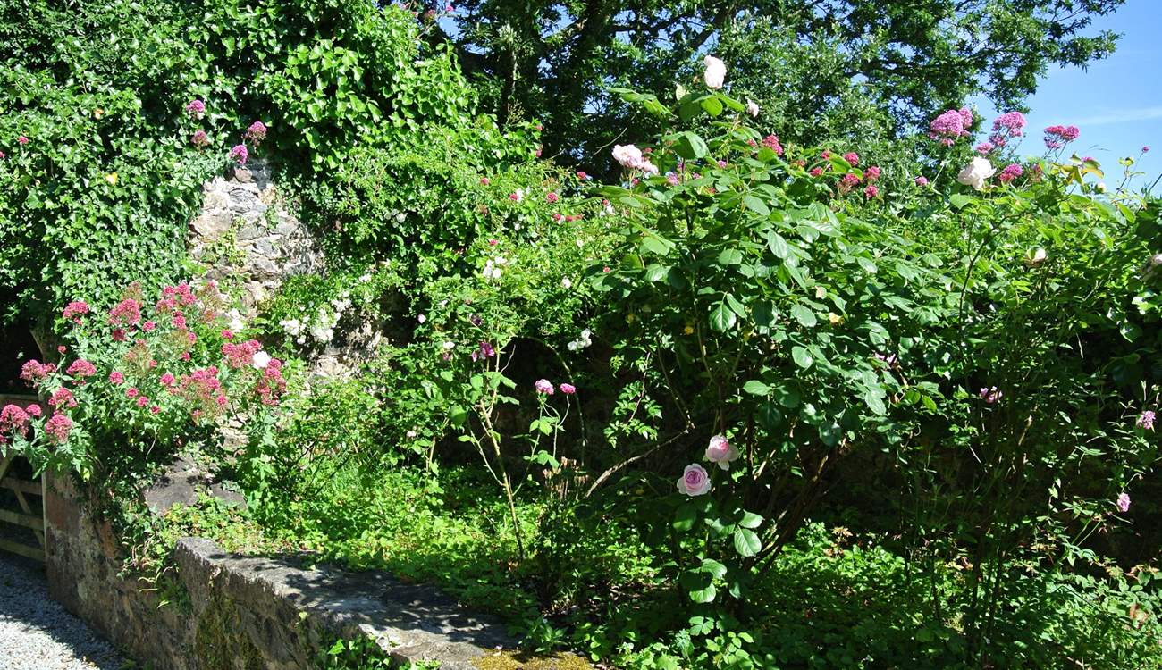 The gardens are full of wall to wall colour.