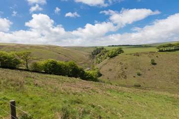 The scenery of Exmoor National Park is fabulous. The open moors are a short walk away from the village.
