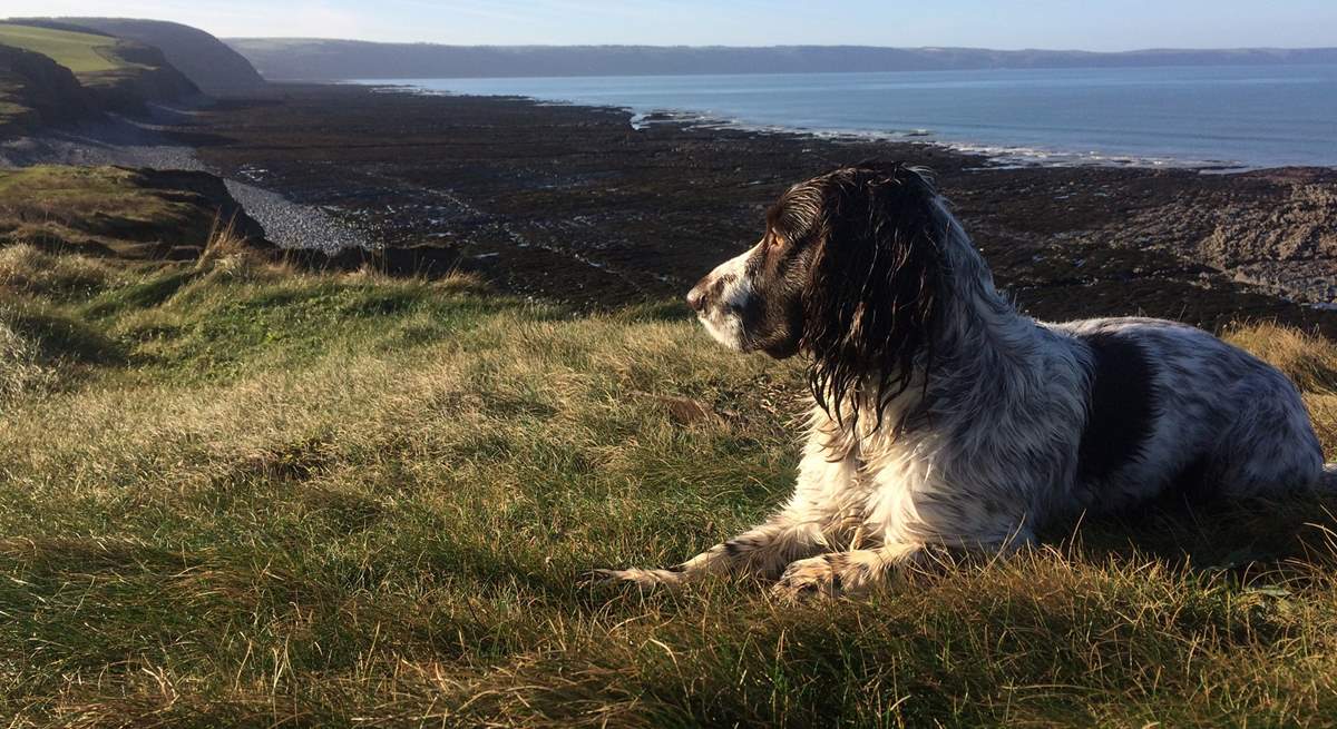 Discover the beauty of the North Devon coastal path.