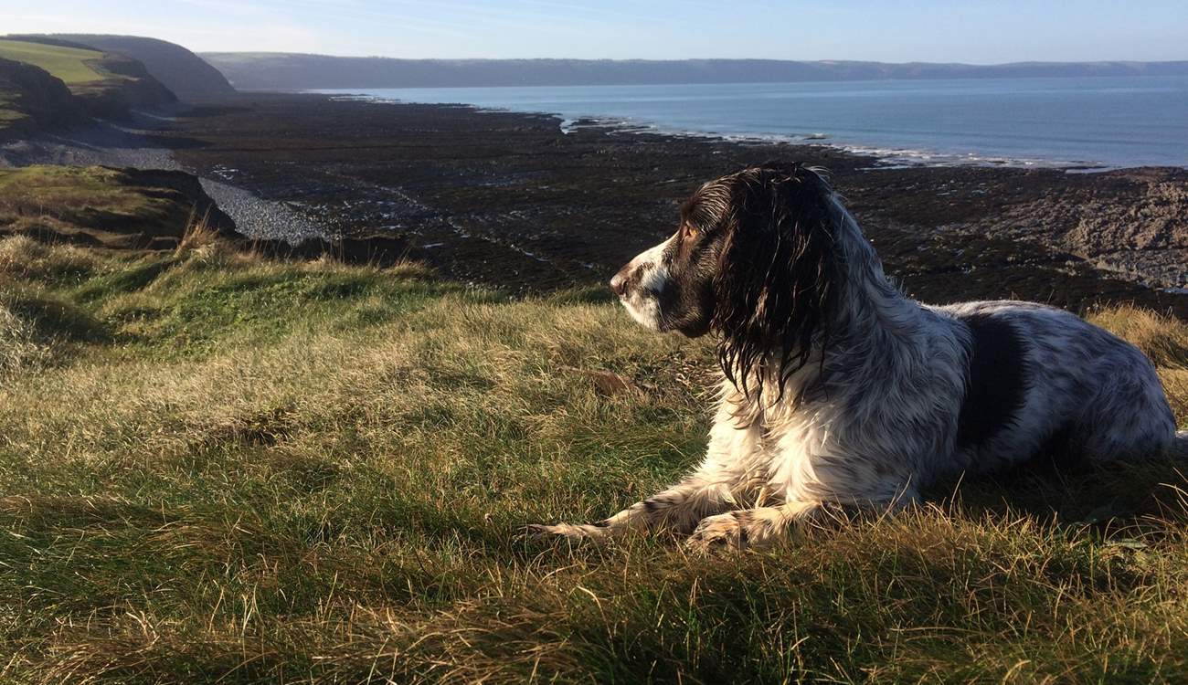 Discover the beauty of the North Devon coastal path.