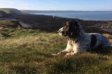 Discover the beauty of the North Devon coastal path.
