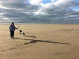 Westward Ho! has miles of sandy beach at low tide and is simply minutes from the house.  This is a Blue Flag beach and the far end is dog-friendly all year round.