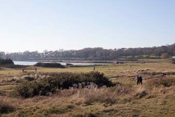 This now popular National Trust land was originally the Island's first golf course, what a beautiful location for a spot of golf!
