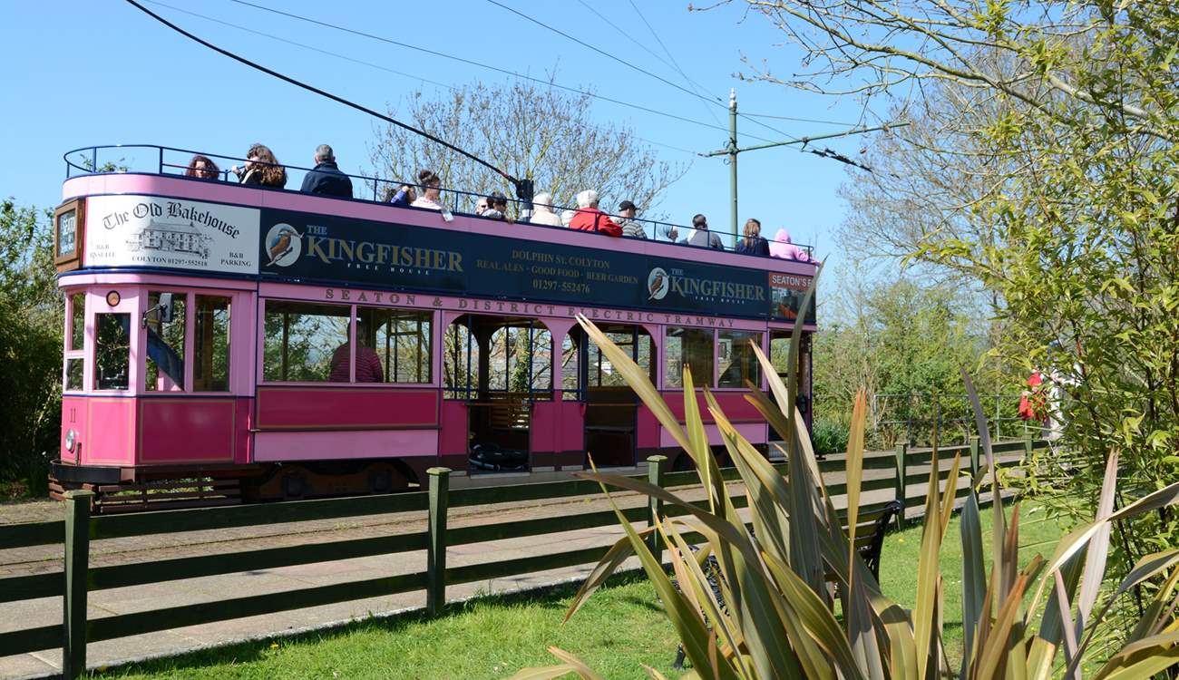 From the cabin, you can walk along the river to nearby Colyton from where you can take this gorgeous little tram to the Jurassic coast at Seaton.