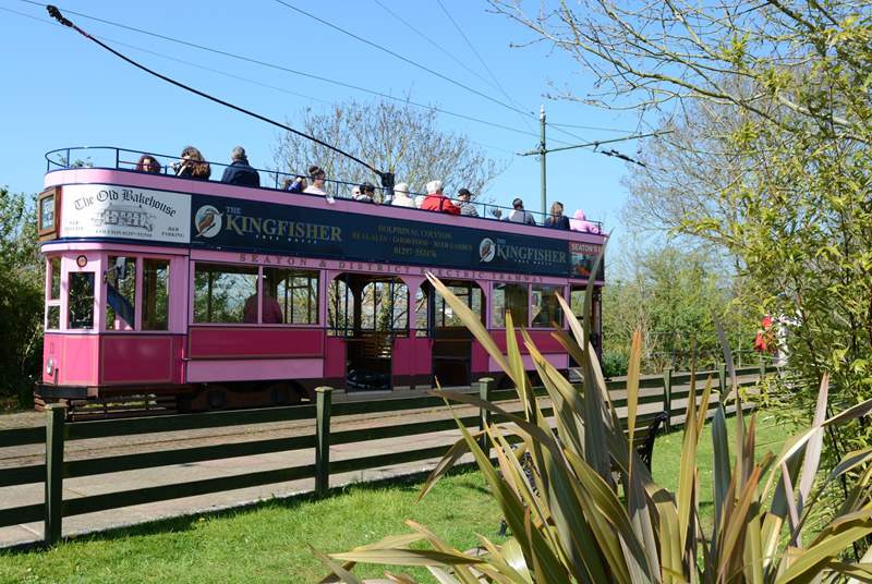 From the cabin, you can walk along the river to nearby Colyton from where you can take this gorgeous little tram to the Jurassic coast at Seaton.