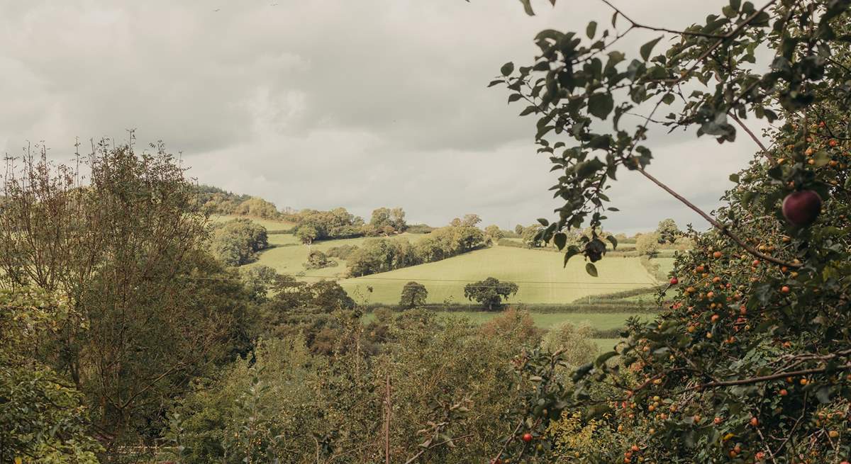 An idyllic backdrop for your stay in nature.