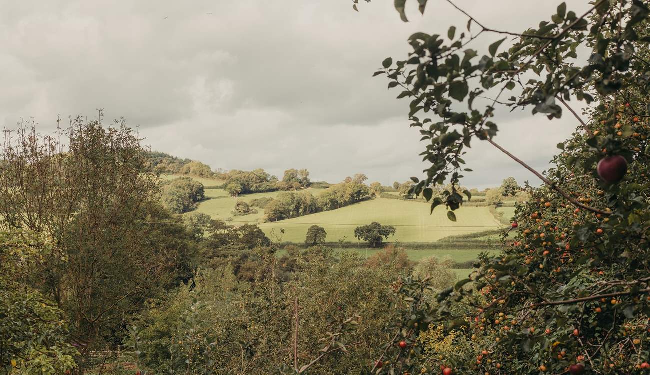 An idyllic backdrop for your stay in nature.