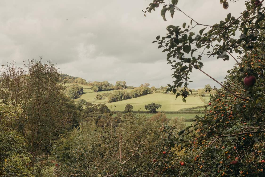 An idyllic backdrop for your stay in nature.
