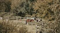 Head out and explore your rural surroundings.