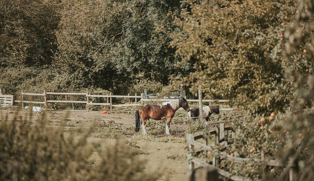 Head out and explore your rural surroundings.