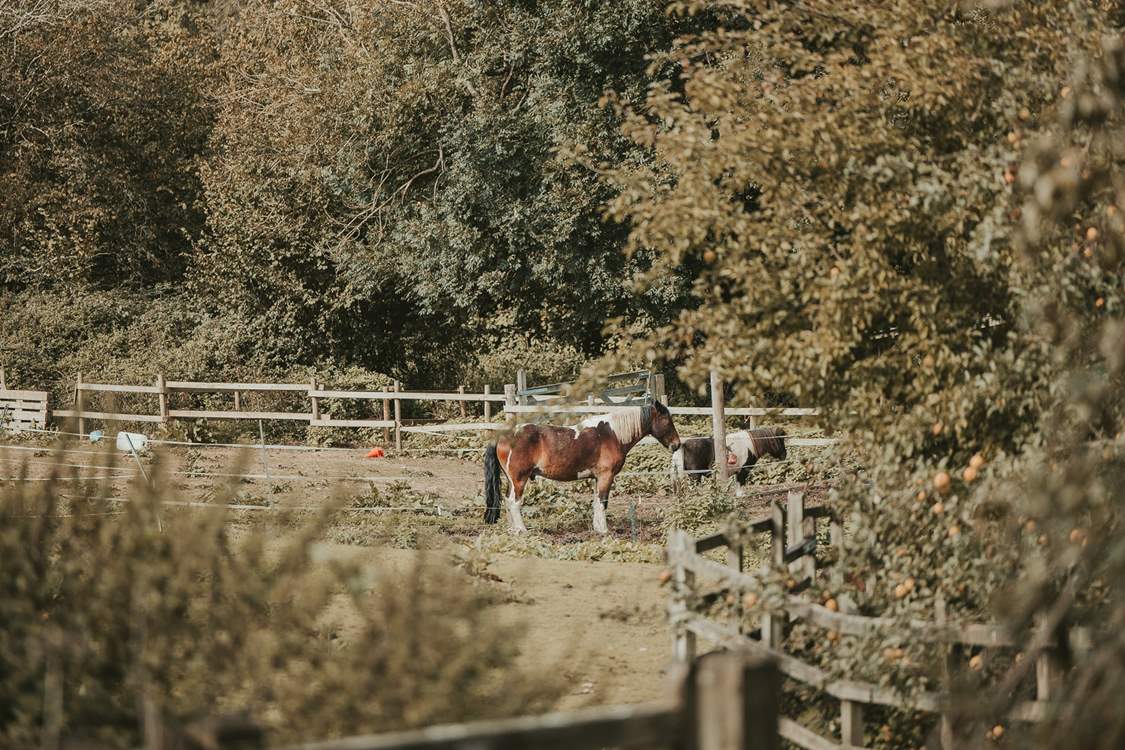 Head out and explore your rural surroundings.