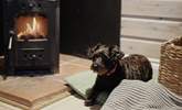 Your four-legged friend will love getting cosy by the fire.  - Thumbnail Image