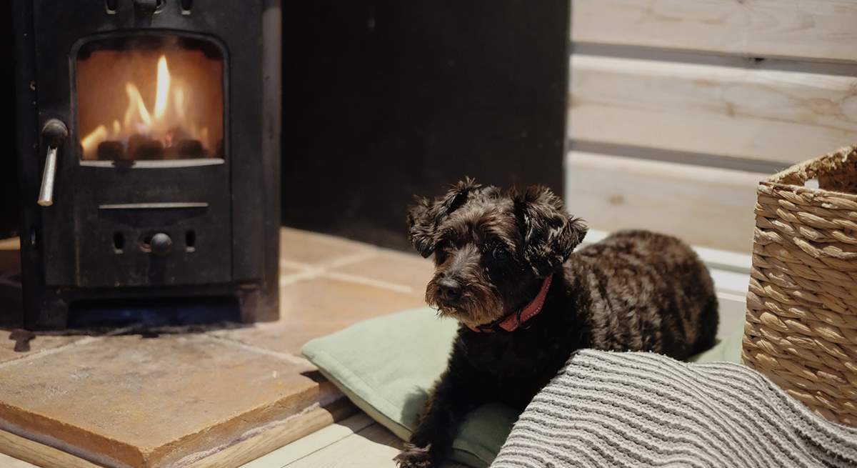 Your four-legged friend will love getting cosy by the fire. 