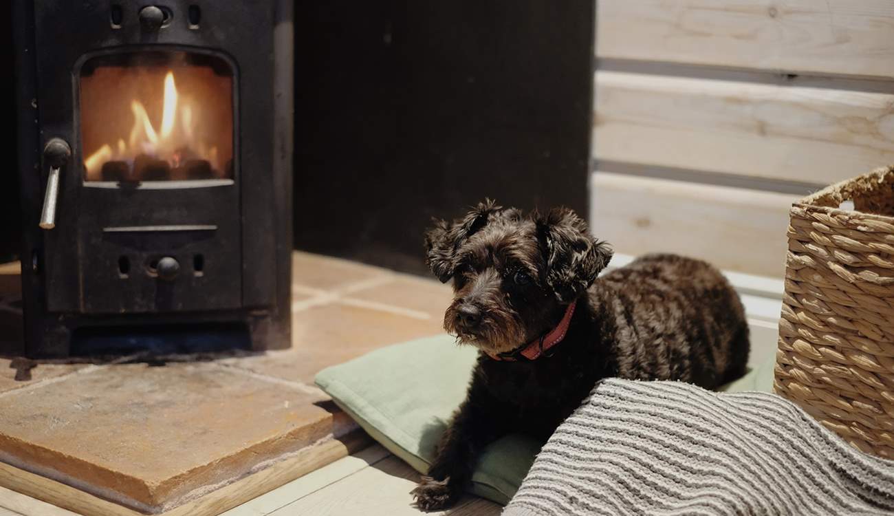 Your four-legged friend will love getting cosy by the fire. 