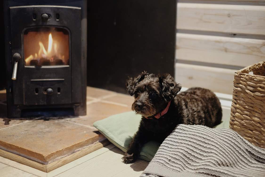 Your four-legged friend will love getting cosy by the fire.
