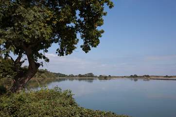 Beautiful walks to explore in St Helens and across the Island.