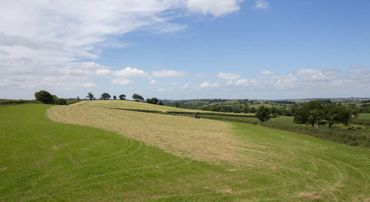 The farmland stretches away into the distance.