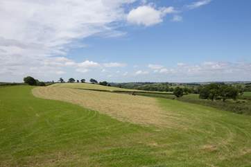The farmland stretches away into the distance.