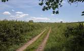 Grassy lanes and footpaths lead from the farm into the tranquil countryside. (This is not the track to the farm!) - Thumbnail Image