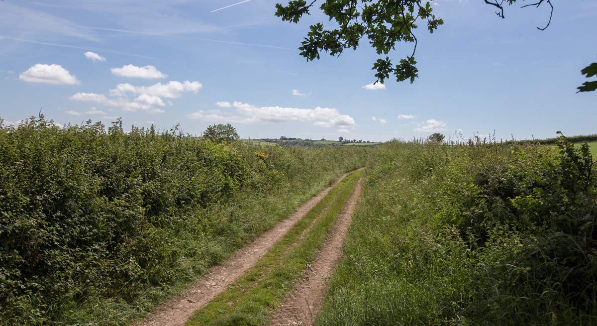 Grassy lanes and footpaths lead from the farm into the tranquil countryside. (This is not the track to the farm!)