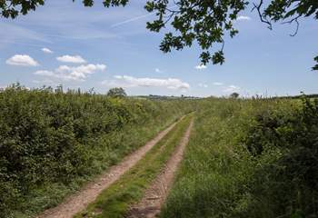 Grassy lanes and footpaths lead from the farm into the tranquil countryside. (This is not the track to the farm!)