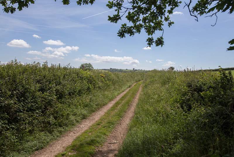 Grassy lanes and footpaths lead from the farm into the tranquil countryside. (This is not the track to the farm!)