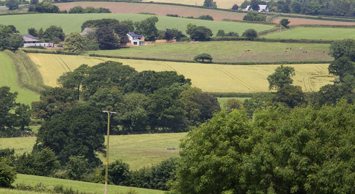 This is Great Ash Barn in its wonderful rural setting - a beautiful place to stay away from the madding crowd!