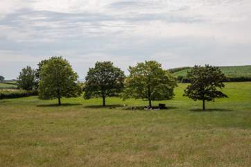 You will often see the farm's cows in the field next to the cottage - they are sure to come up and see you too!