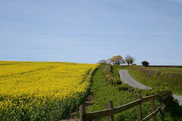 Tolpuddle Cottage is surrounded by countryside with some fabulous views.