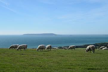 The Isle of Portland from the clifftop car park at Ringstead, a short drive from the cottage.