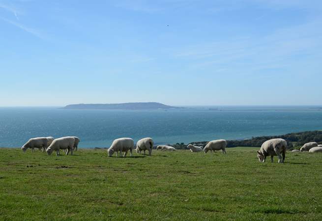 The Isle of Portland from the clifftop car park at Ringstead, a short drive from the cottage.