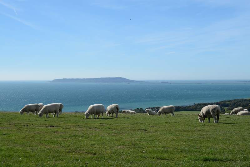 The Isle of Portland from the clifftop car park at Ringstead, a short drive from the cottage.