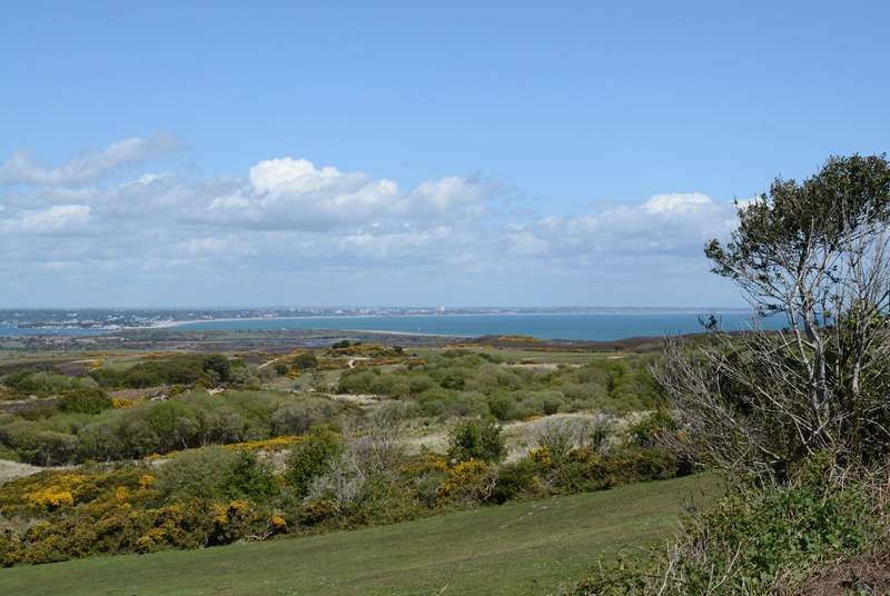 Taken from the Corfe to Studland Road, from this viewpoint you can see Poole's natural harbour in one direction, and in the other Bournemouth bay. across to the Isle of Wight.