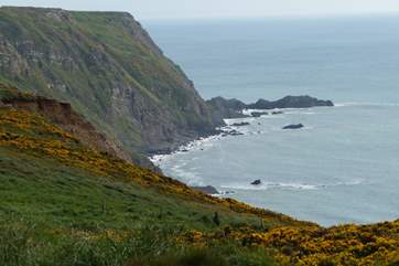 The dramatic north Cornwall coastline.