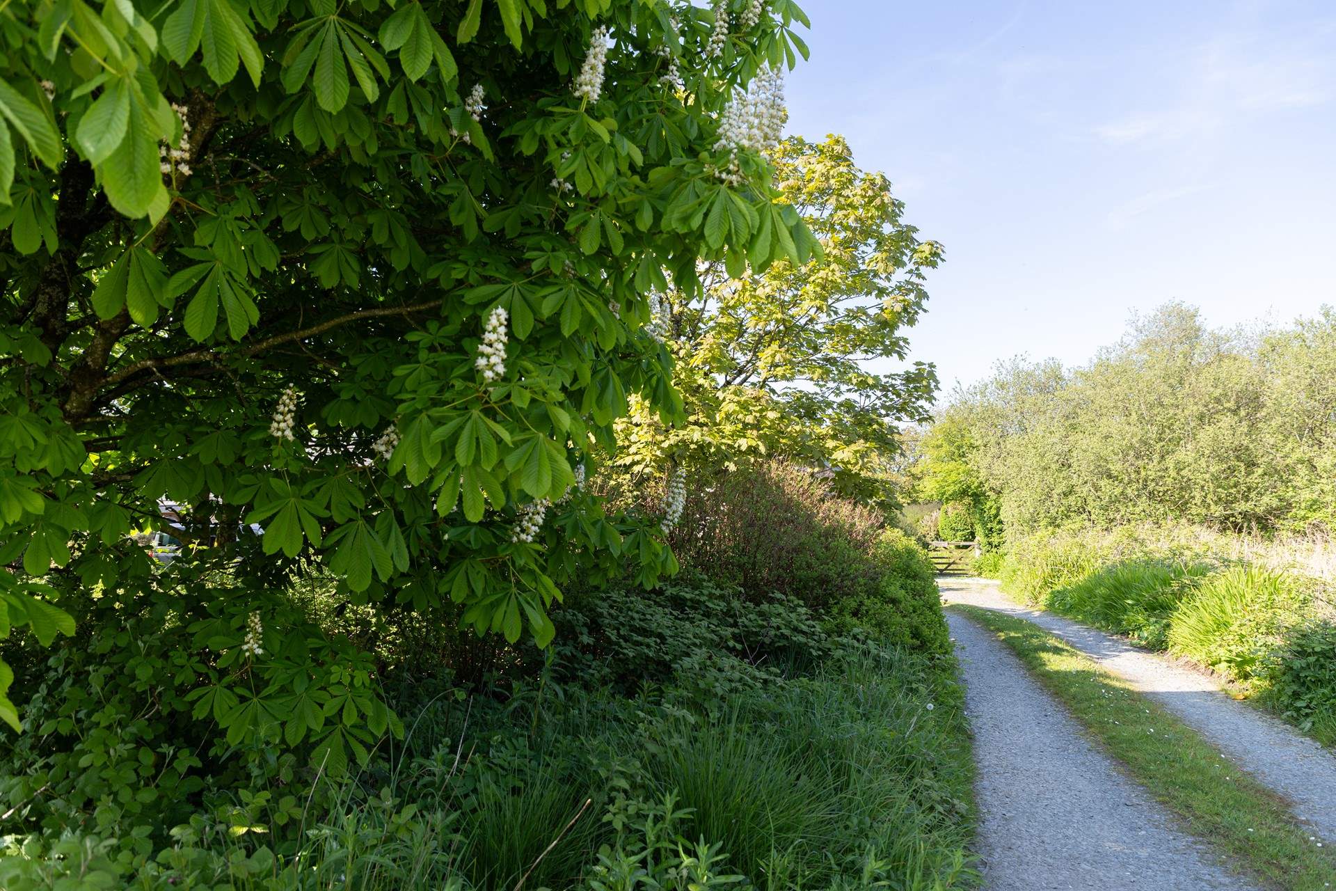 Hidden away at the end of a country lane.