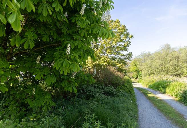 Hidden away at the end of a country lane.
