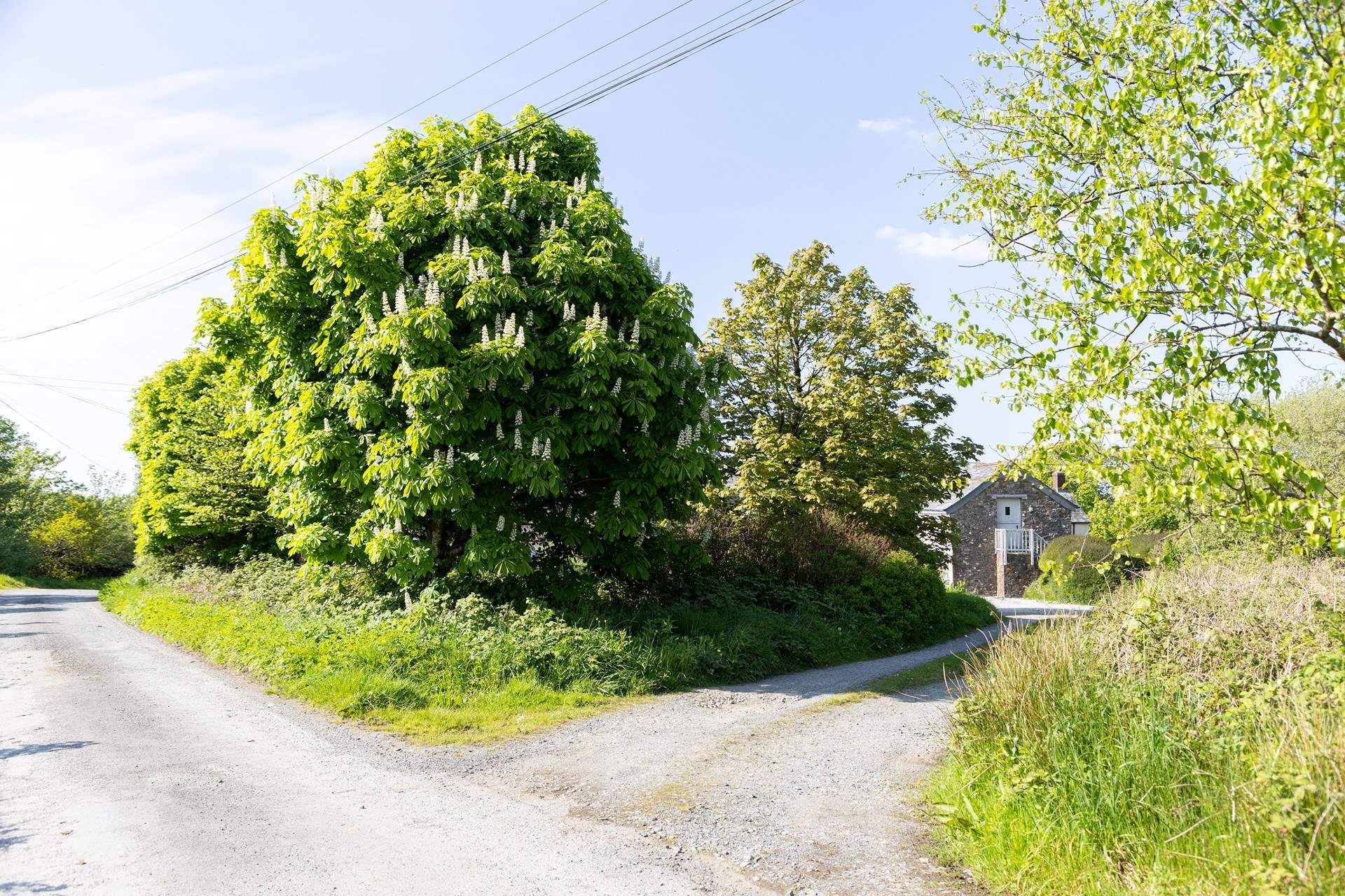 Pull off the lane to find the cottage tucked away in it's own little Cornish nook.