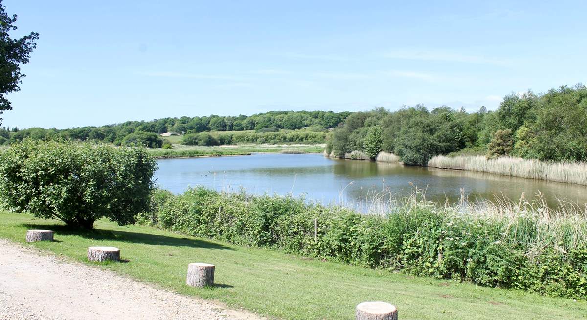 What a beautiful location in which to enjoy the sunshine.