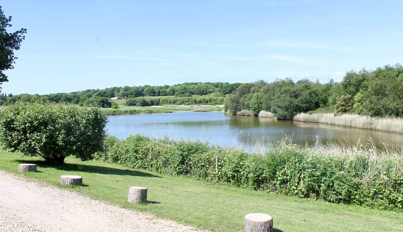 What a beautiful location in which to enjoy the sunshine.