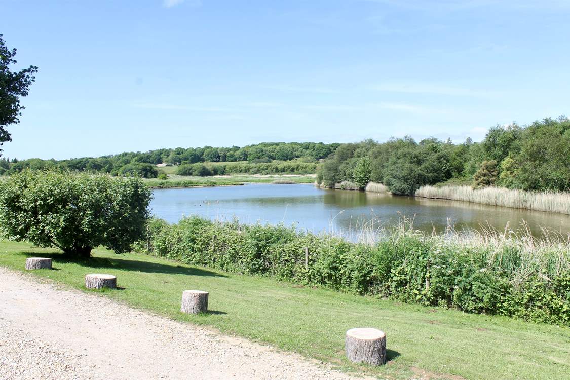What a beautiful location in which to enjoy the sunshine.
