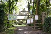 The ponds at Roskillys are just up from the ice cream parlour - a lovely quiet place to wander.