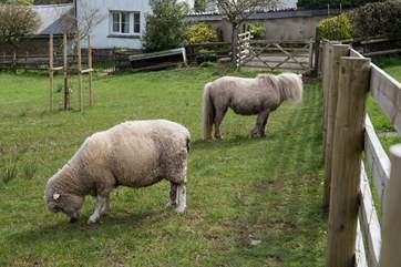 Best friends forever, lovely. The children in your party will adore their holiday neighbours.
